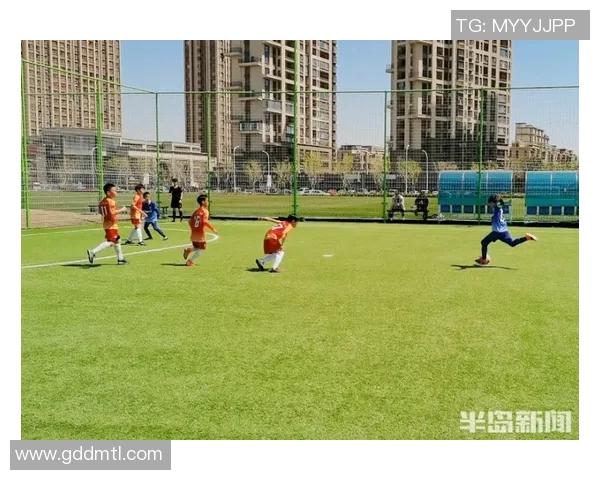 南京排球队的默契配合与战术分析探讨