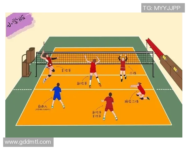 杭州排球队整体压制战术解析与排球热点探讨