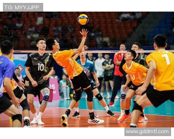 排球团队协作实力榜单揭晓北京排球队荣获第五名佳绩