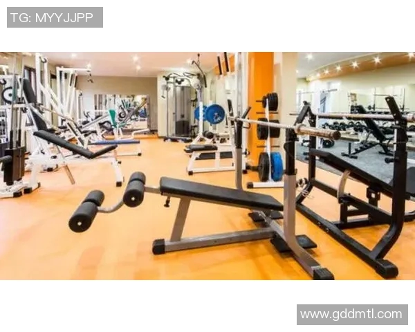 肌肉健身器材专卖店推荐